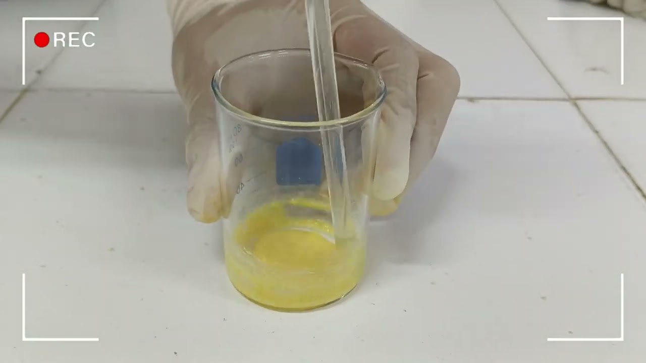 Preparations before analyzing starch content in corn seeds