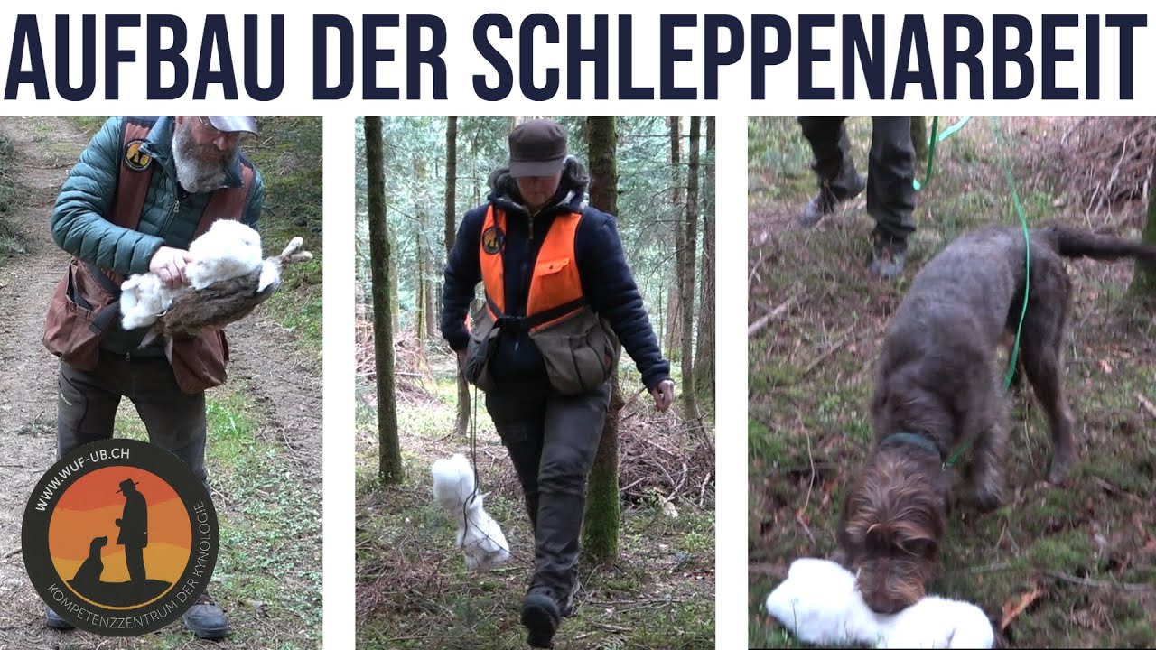 Aufbau der Schleppenarbeit | Hundeschule U.B.