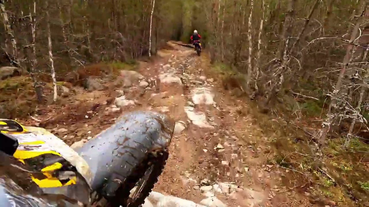 Vuxendagis Räfsbo helt varv, 20250406