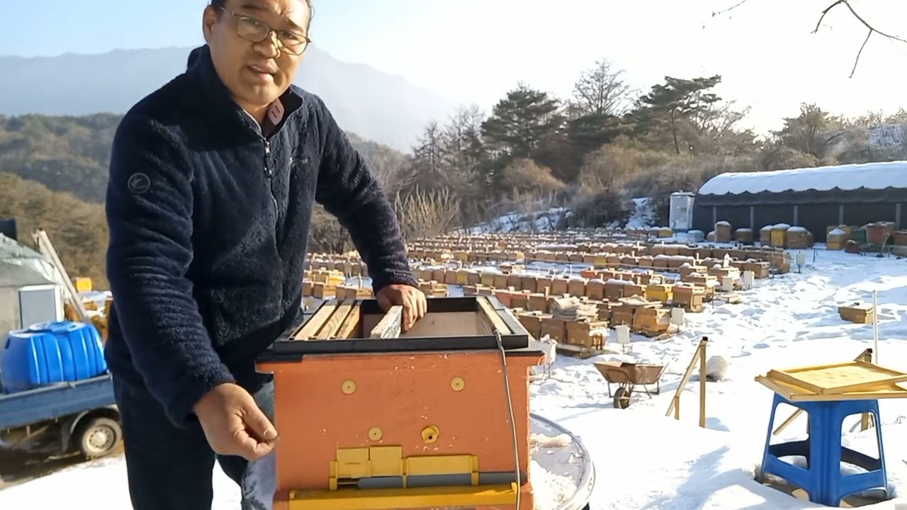 2023년 봄벌 깨우기  시기.방법