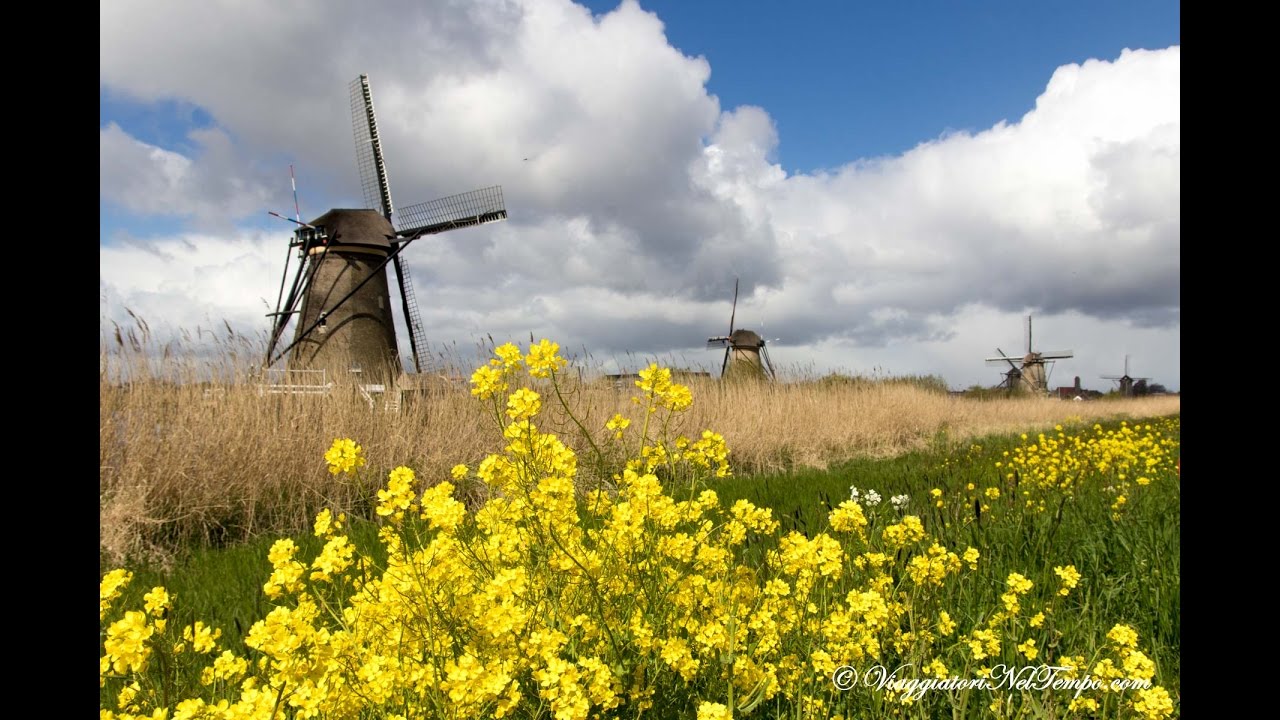 Trip to Holland