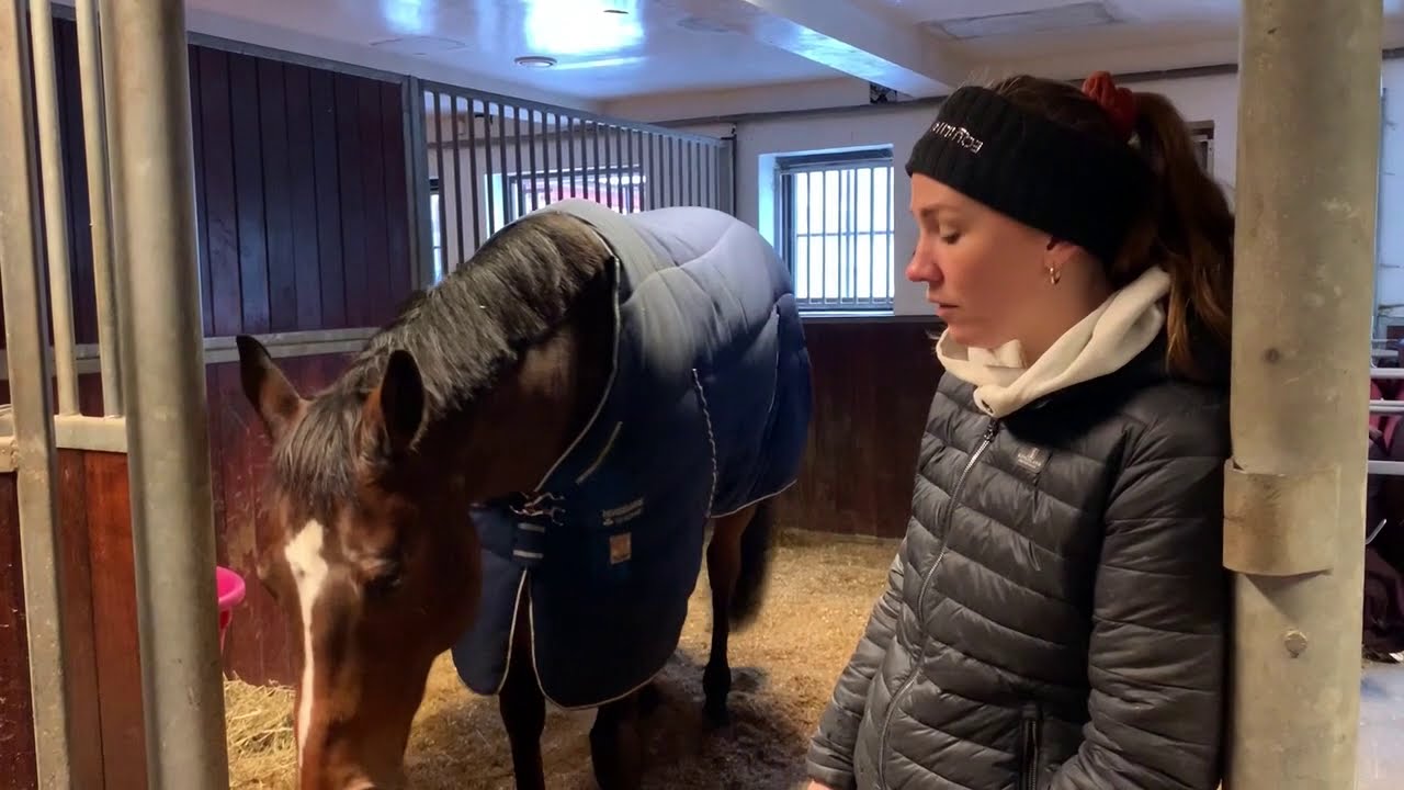 Linn Therese Olafsen vlog2 - Omskolere fullblodshester til ridehester