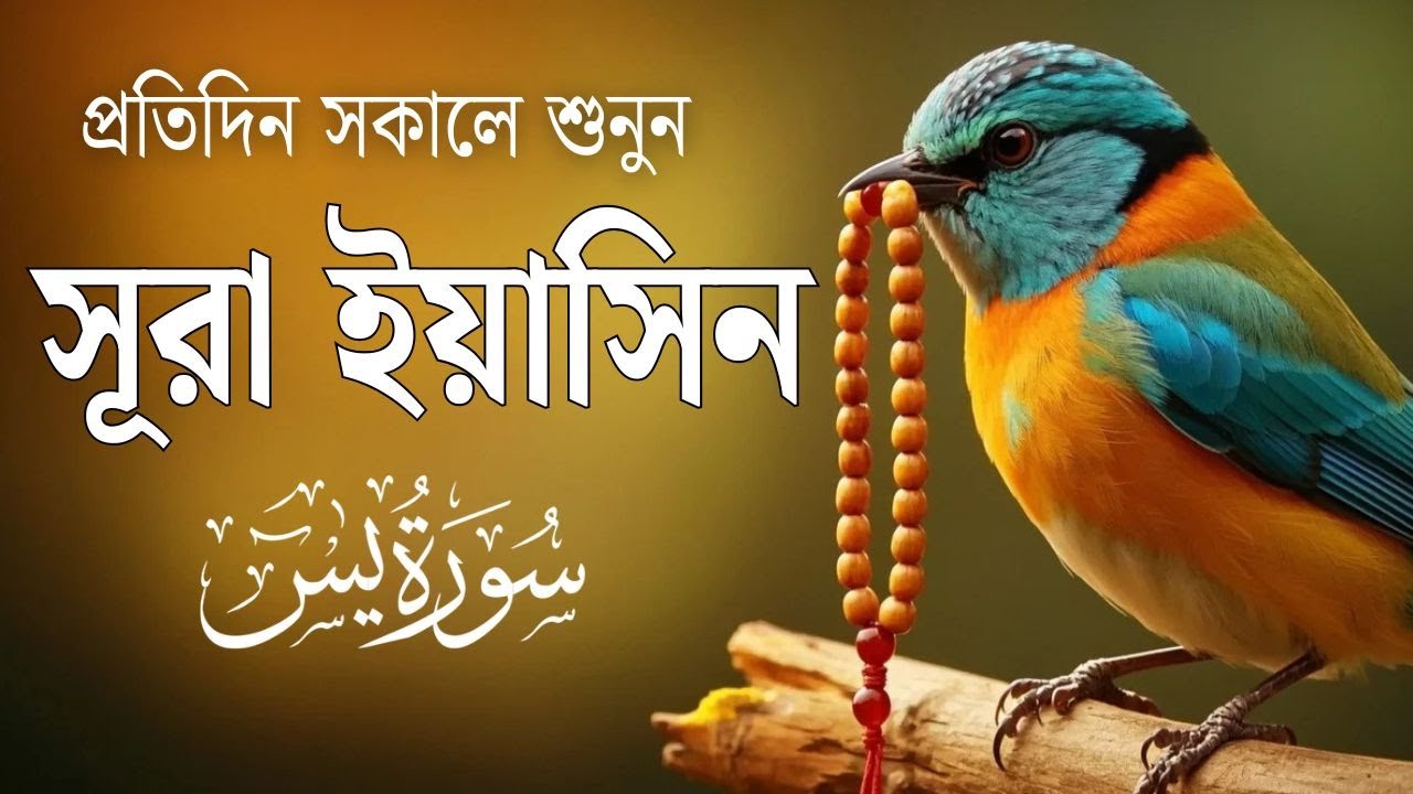 (প্রতিদিন শুনুন ) হৃদয় শীতল করা কণ্ঠে সূরা ইয়াসিন তিলাওয়াত | Surah Yaseen | by Shamsul Haque