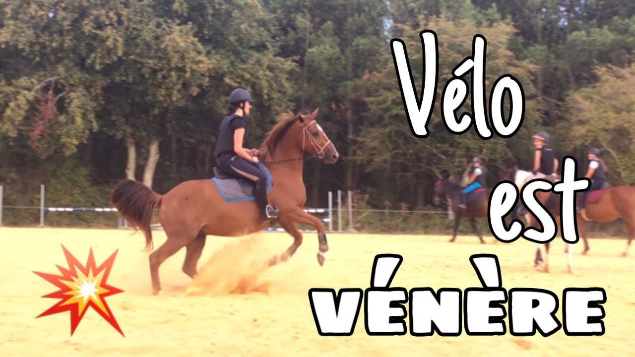 [COURS] Saut d’obstacles ! 21/09/19 - CS’o Landreau
