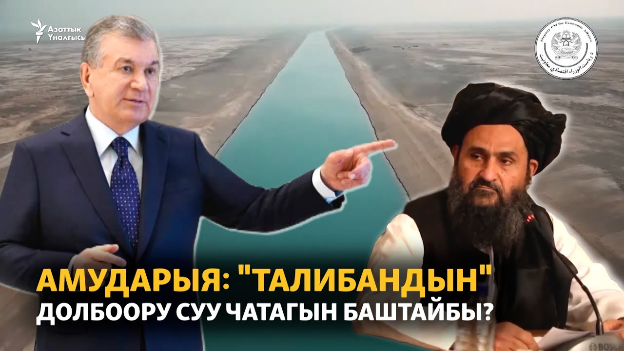 Амударыя: 