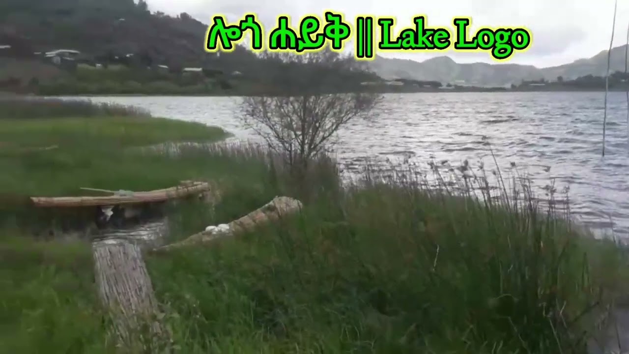 ወሎ ሎጎ ሐይቅ | Lake Haike,wollo ethiopia #visit #lakeside #ወሎ #ሀይቅ #ethiopia