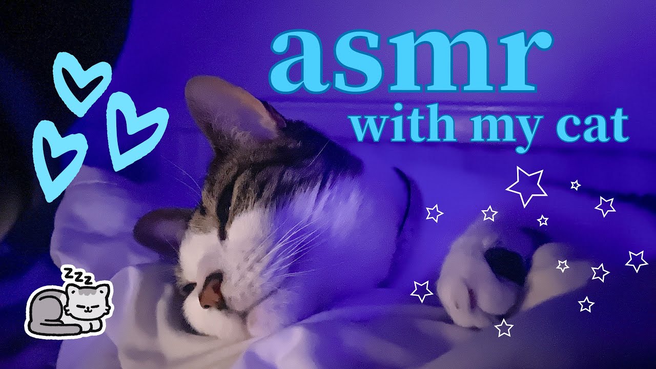 ASMR cat purring for (almost) 1 hour [1k subs special]