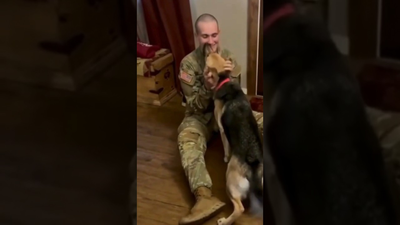 In a heartfelt moment, dog reconnects with the soldier #fascinatingstories #interestingstories