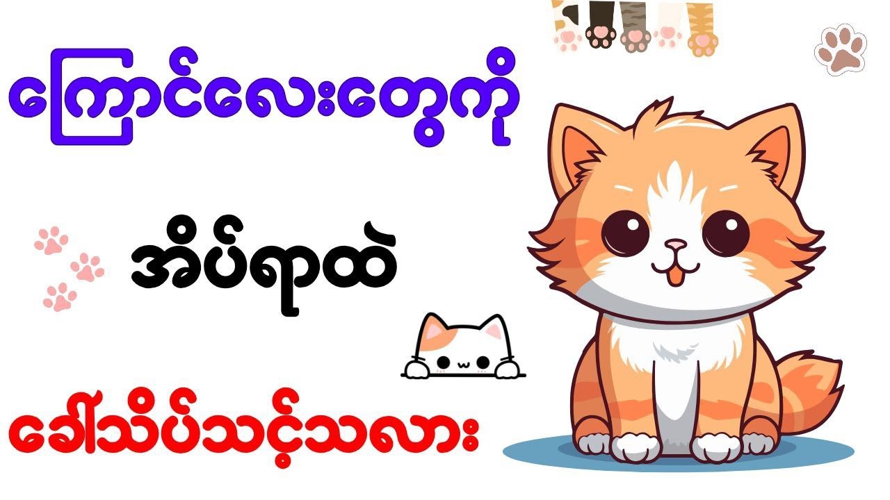 ကြောင်လေးတွေကို အိပ်ရာထဲ ခေါ်သိပ်ရင် ဒါတွေဖြစ်တတ်ပါတယ်။