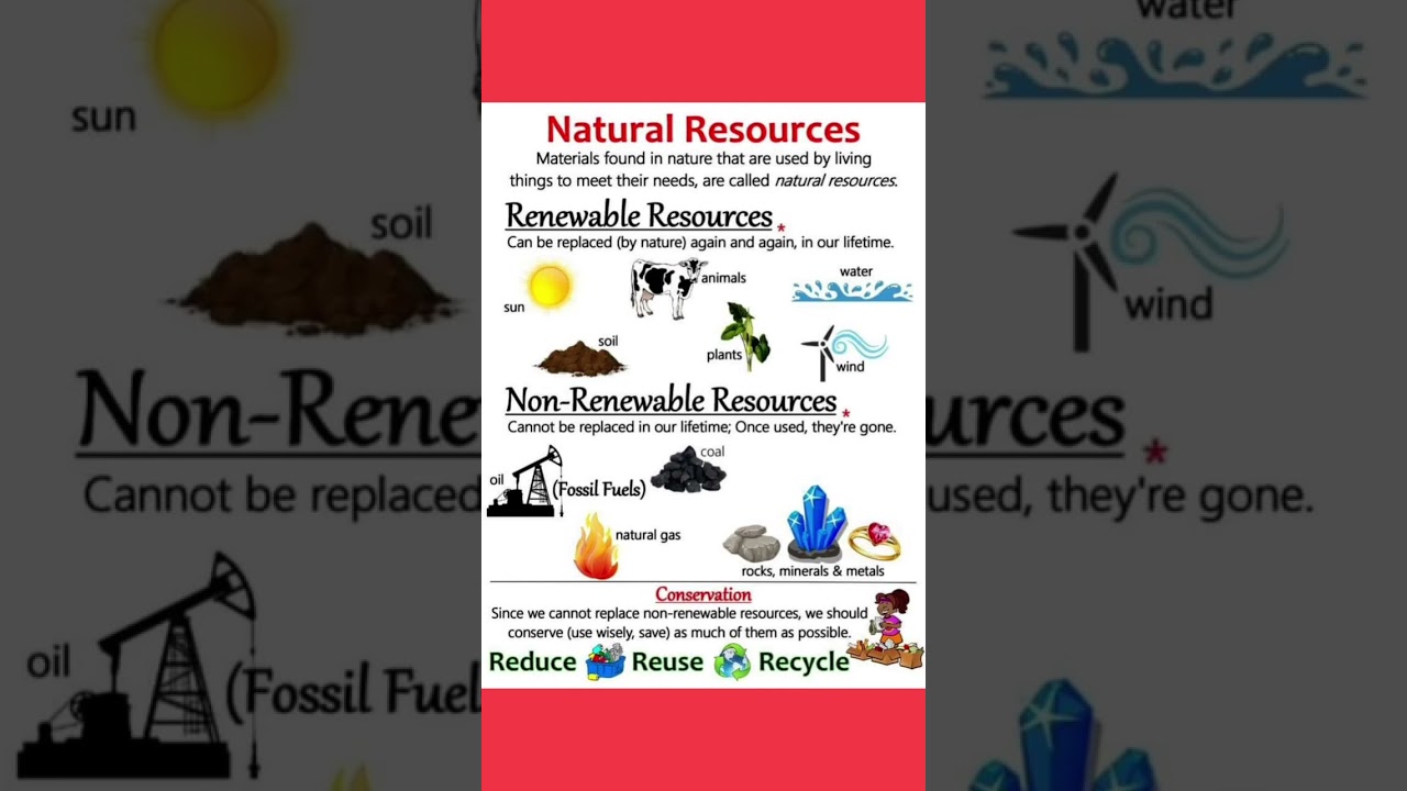 Natural Resources|#shortsvideo #natural #shortsviral #shorts #education#learning #information#short