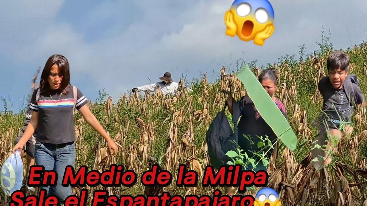🚨Urgente Rosi Corre,P3ligr0😱Por Rob4r Hiervan En los Bordos💔