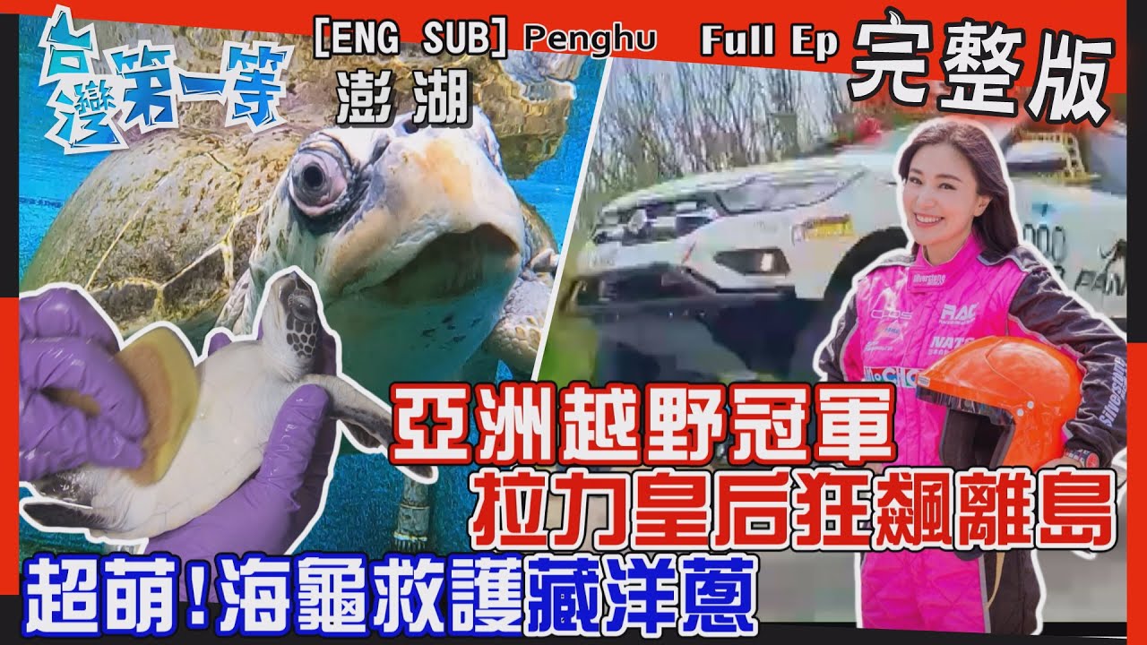 [全新] Penghu【救護小海龜 糞便檢查、餵藥洗澡有個好