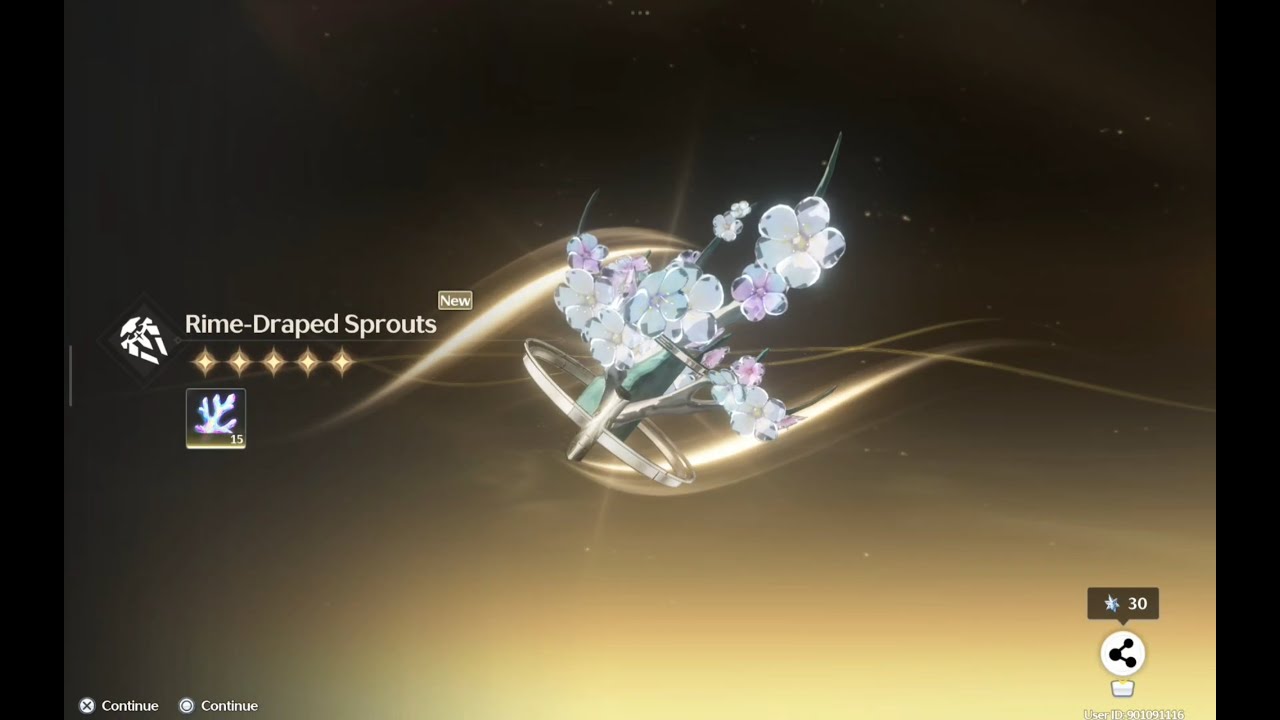 [Wuthering Waves Convene] Weapon Pull - Rime-Draped Sprouts - Absolute Pulsation - R1