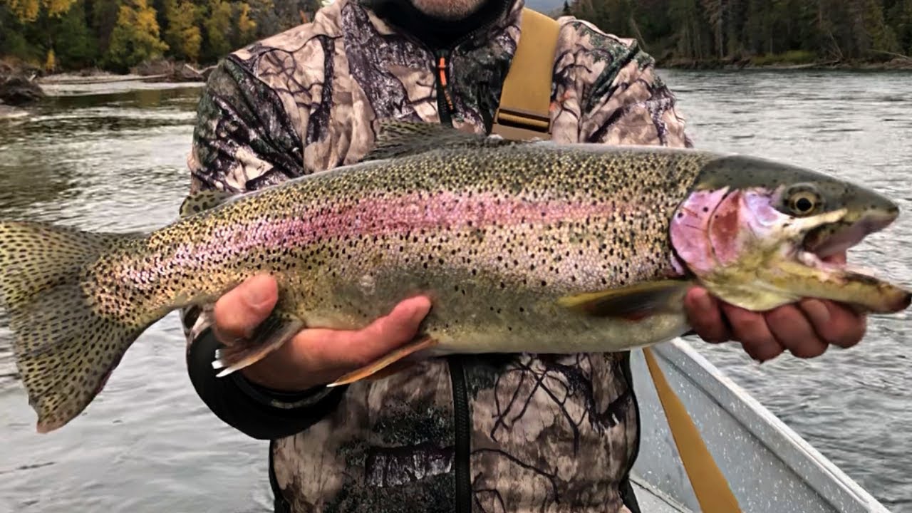 BIG Alaskan Rainbow Trout | Fly Fishing