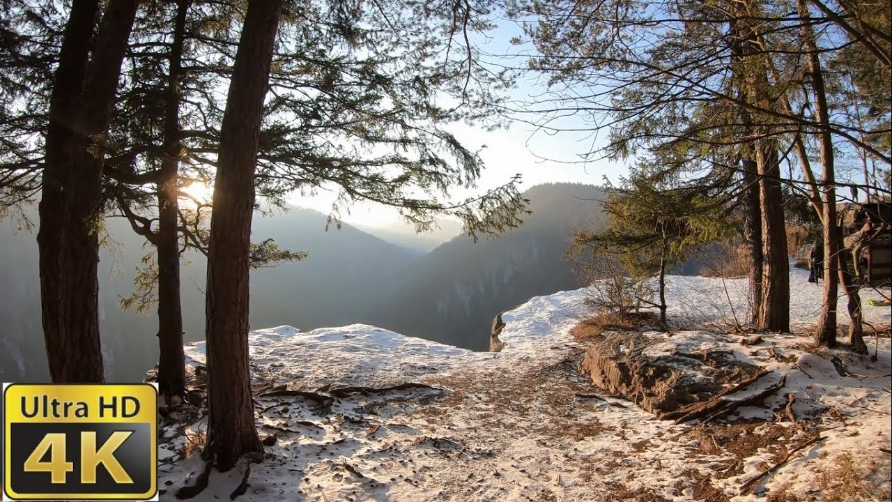 4K Nature walk trough the forest to a beautiful view.