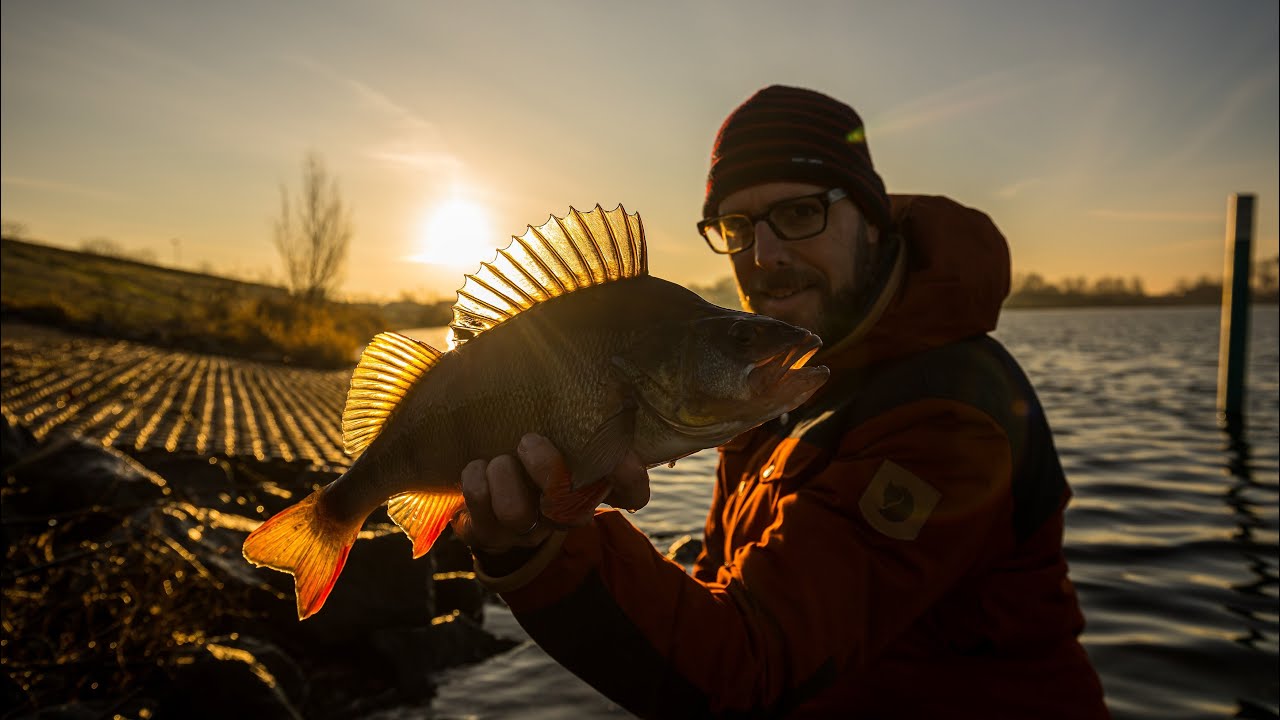VISblad TV - praktijktest: de 'Ned rig'!