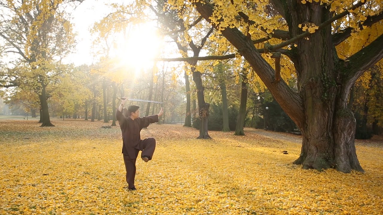 STVORENÍ PRE ŠPORT #1 TAI CHI