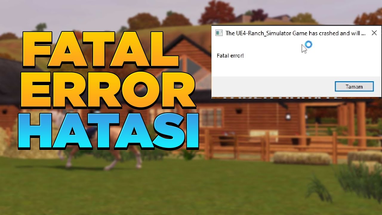 FATAL ERROR HATASI ÇÖZÜLDÜ | RANCH SİMULATOR FATAL ERROR HATASI | vadinin sahibi