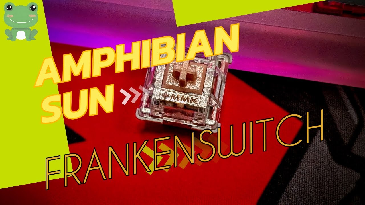 Amphibian Sun Frankenswitch Build and Sound Test