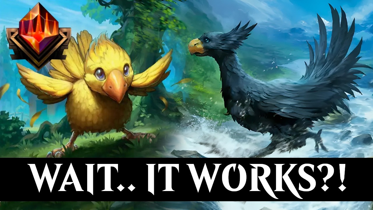 Wait, A REAL Chocobo Deck.. In Top Meta?!