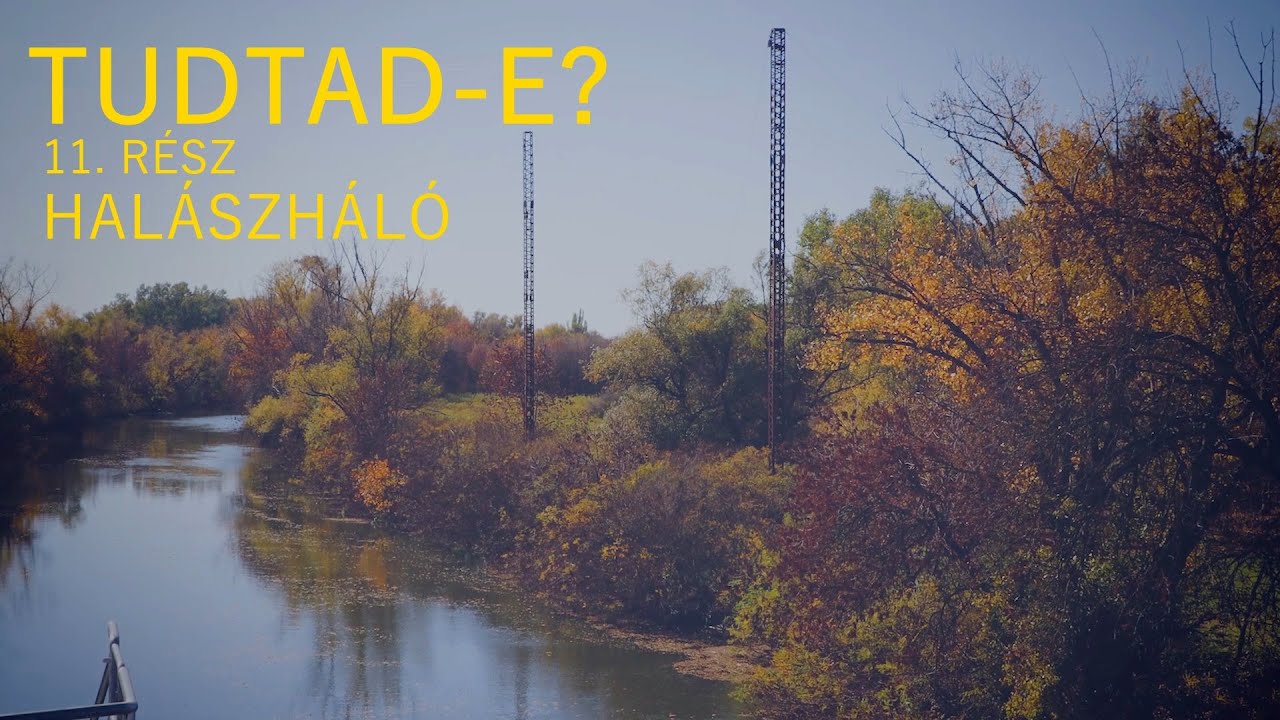 Tudtad-e? - Halászháló