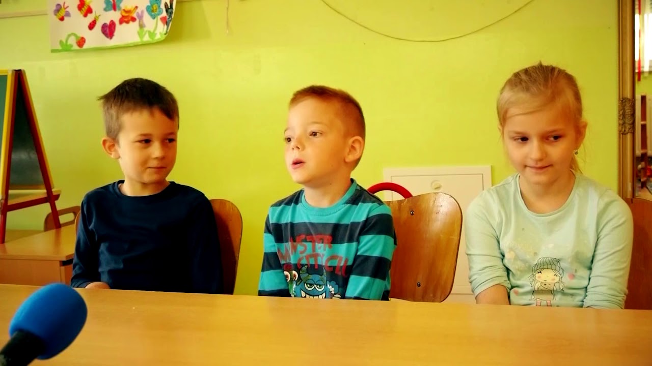 Općina Stari Jankovci 2019.g.