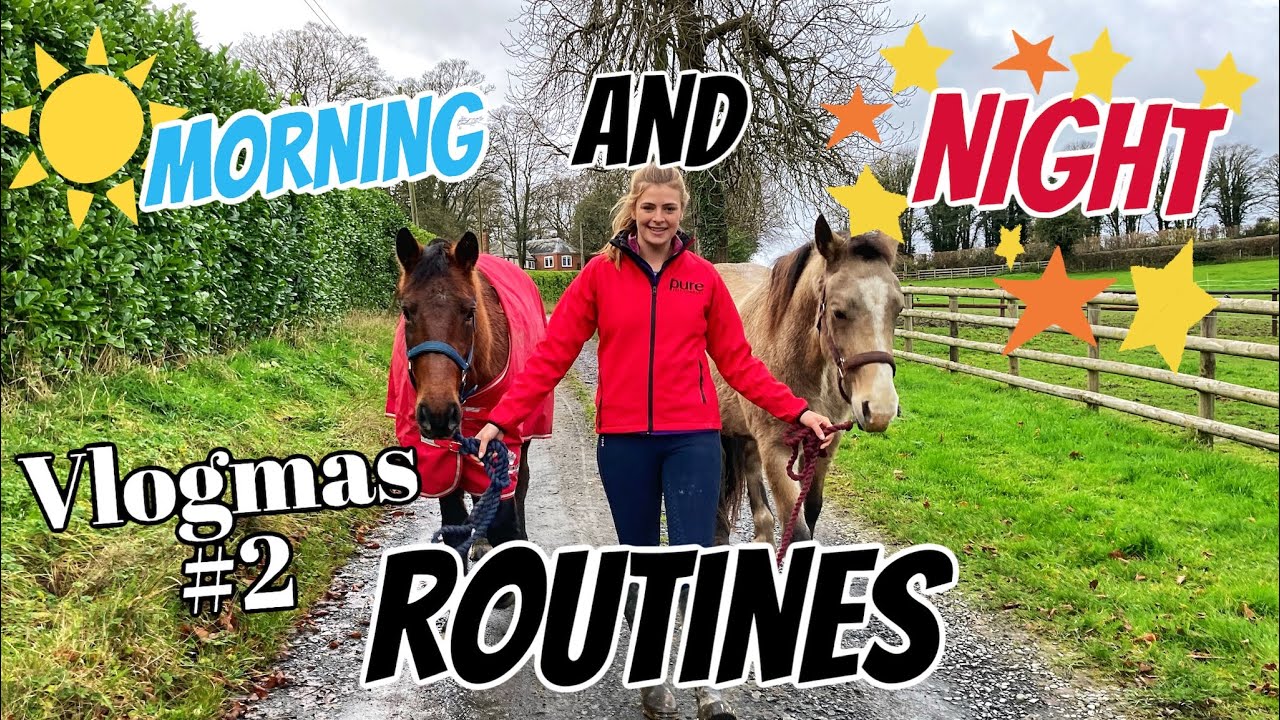 MY HORSE'S MORNING AND NIGHT ROUTINE & WHAT THEY EAT ~ Vlogmas Day 2