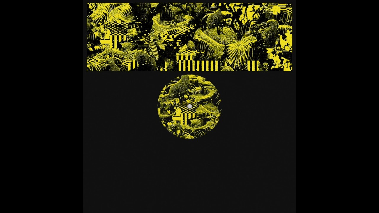 shjva &ndash; Dragonfly | Warning