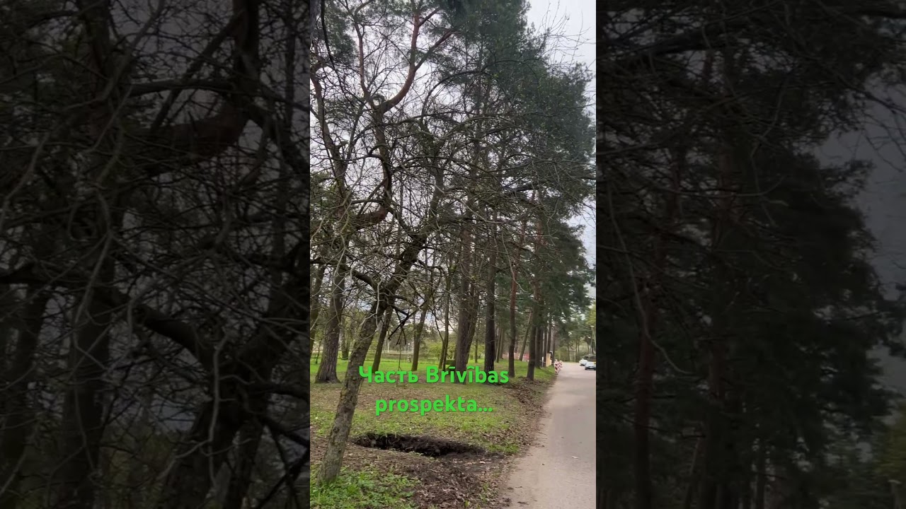 Часть&hellip;#latvija #jurmala #прогулка #добро #rest #walking #atputa #pastaiga #рекомендации #street
