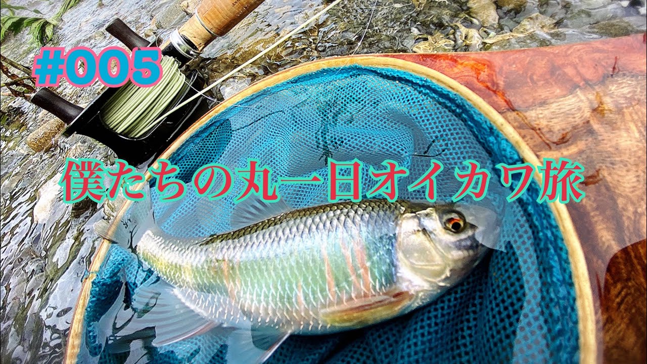 フライでオイカワ釣りのススメ