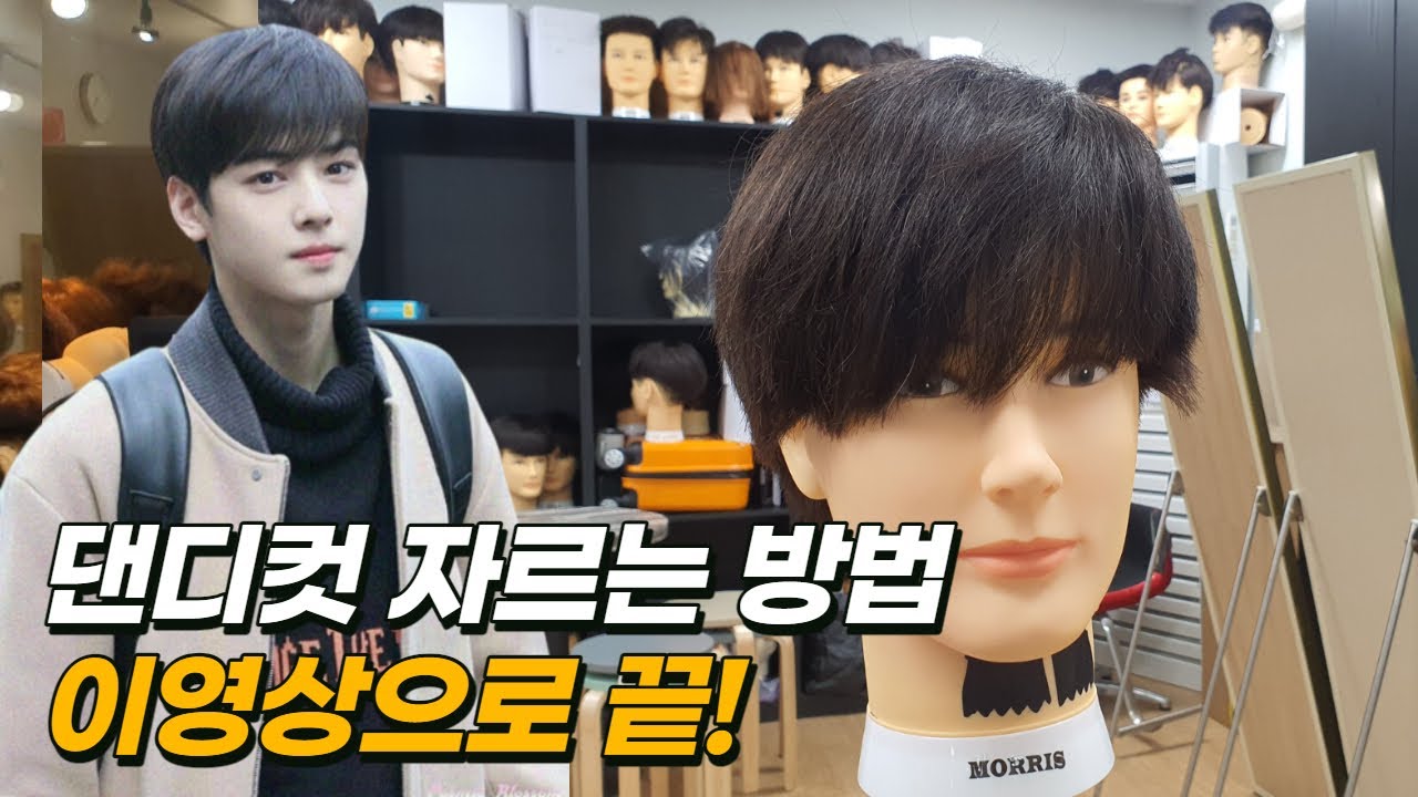댄디컷 이영상으로 끝내드립니다~쉽게쉽게 자르는방법