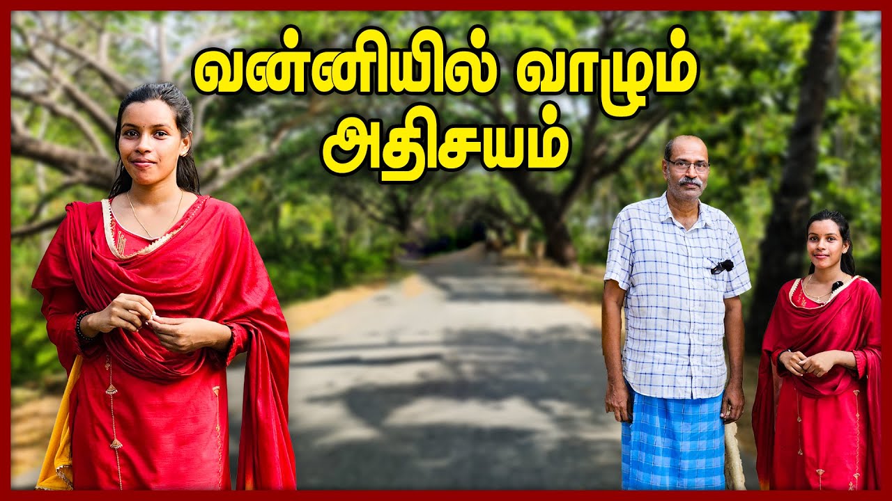 1987 ஜூலை 29 இல் வன்னியில் நடந்தது என்ன?  | #konavilvagaitree | #chummaorutrip