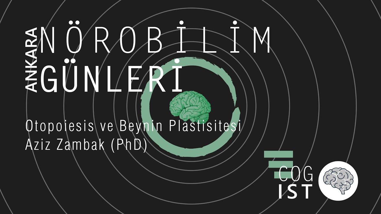 Otopoiesis ve Beynin Plastisitesi - Aziz Zambak (PhD) | Ankara Nörobilim Günleri #3