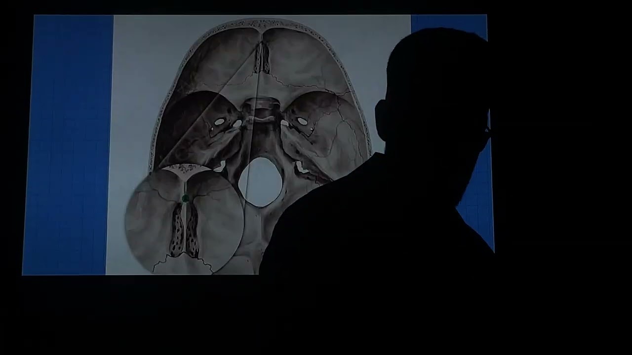 Foramen of skull \ د.حسن الكوفي 