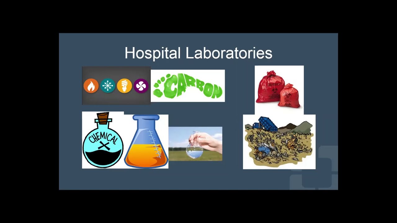 Resiliency Surgery and Labs - Ilyssa Gordon MD, PhD and Sofya Asfaw Associate Professor of Pathology