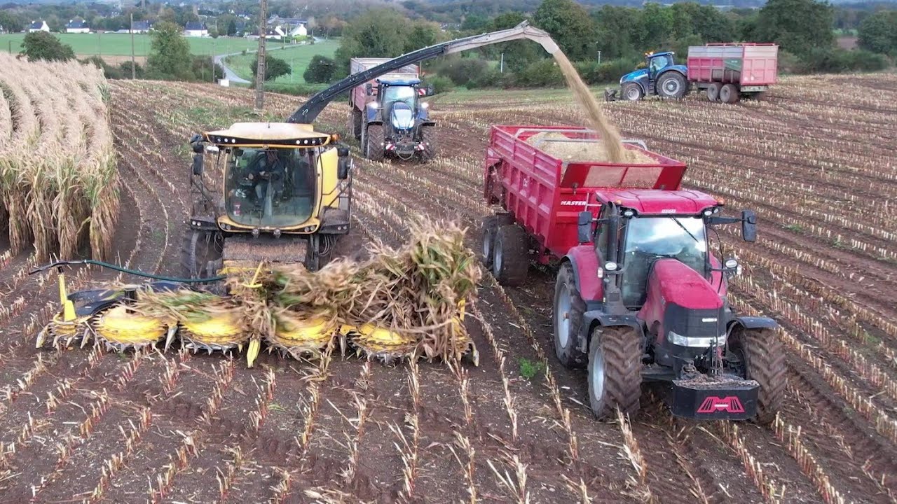 😍Jaguar 970 Vs FR 780 forage cruiser aux ensilages 2023🌽/Eta Oger😎