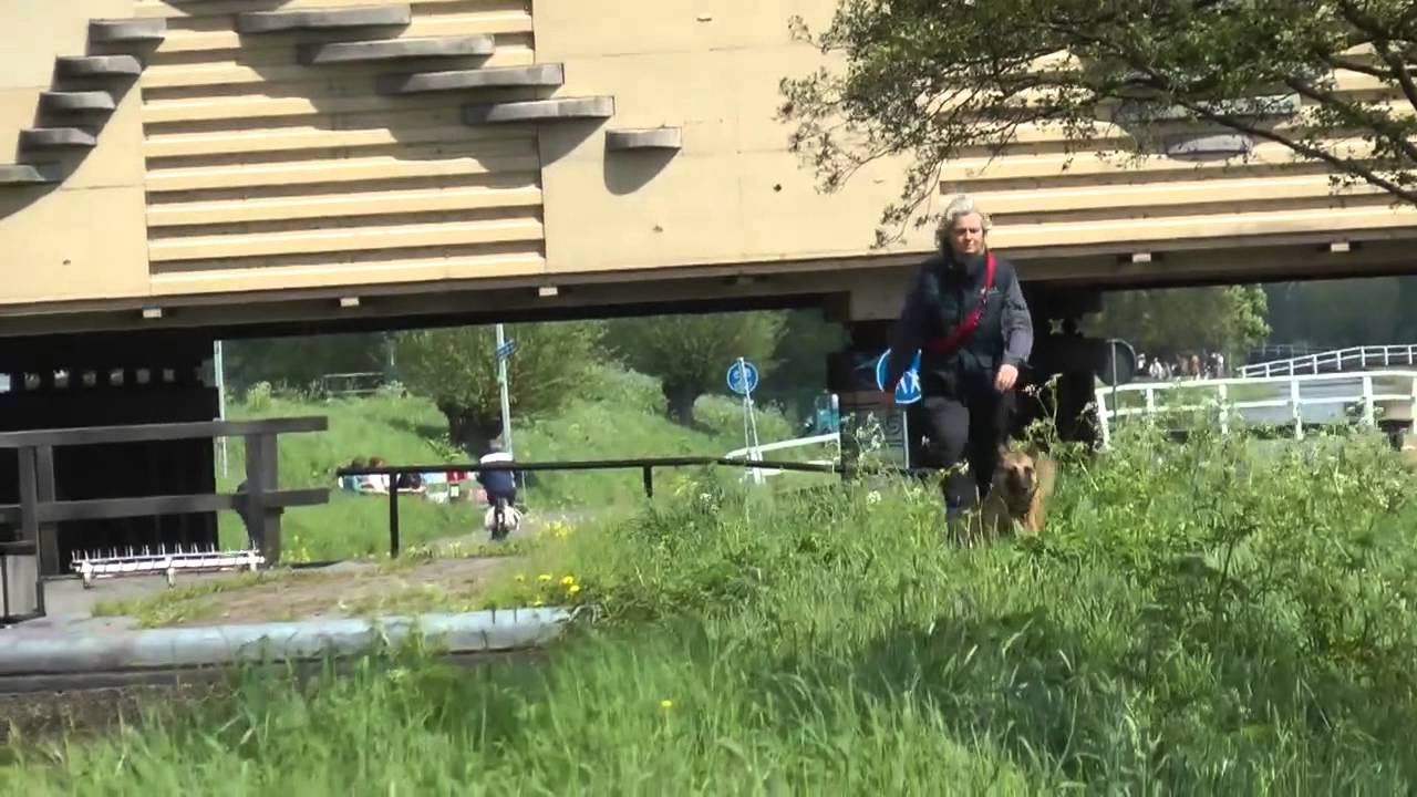 Zoekactie Twee Molentjeskade