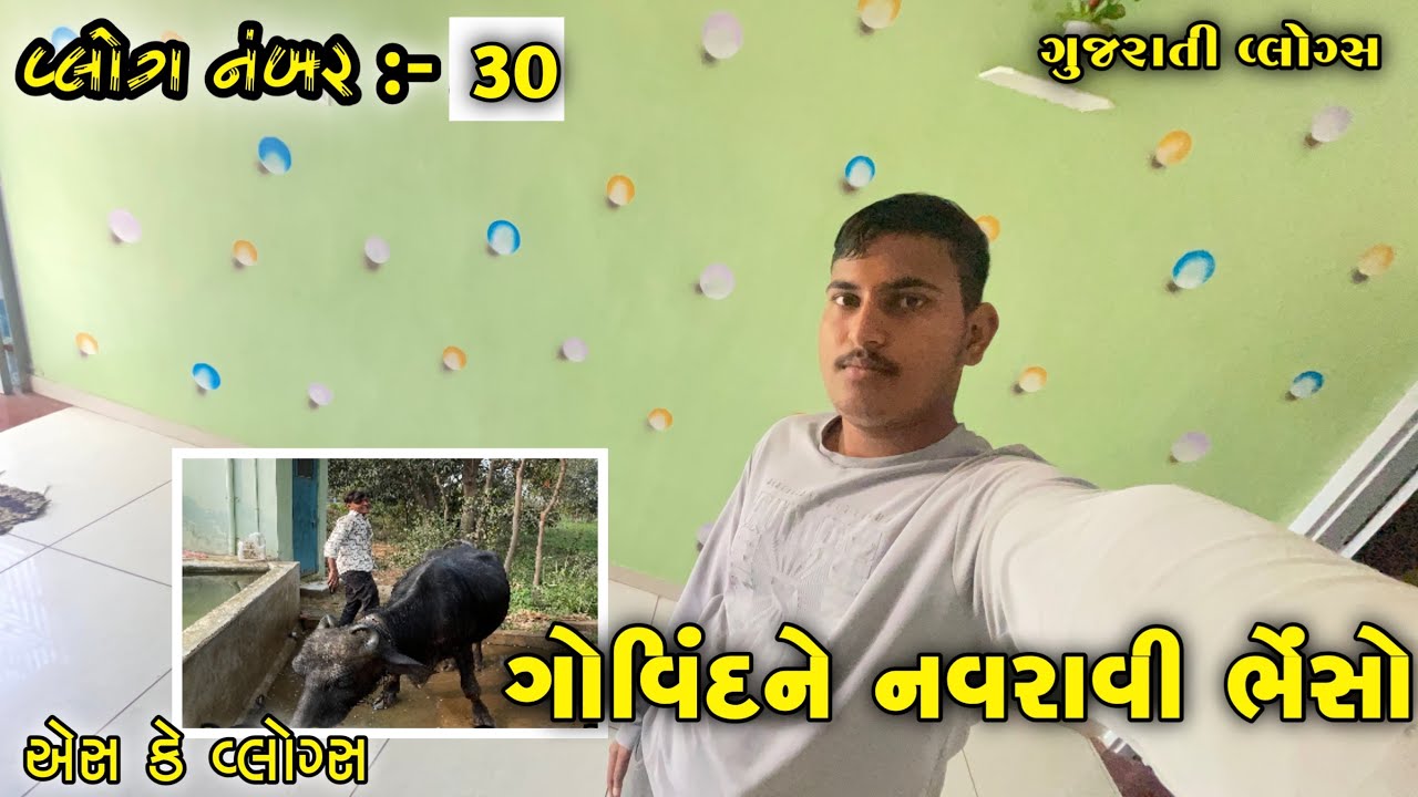 વ્લોગ નંબર :- 30 || ગોવિંદને નવડાવી ગાયો અને ભેંસો || SK VLOGS || એસ કે વ્લોગ્સ || GOVINDNE NAVDAVI 