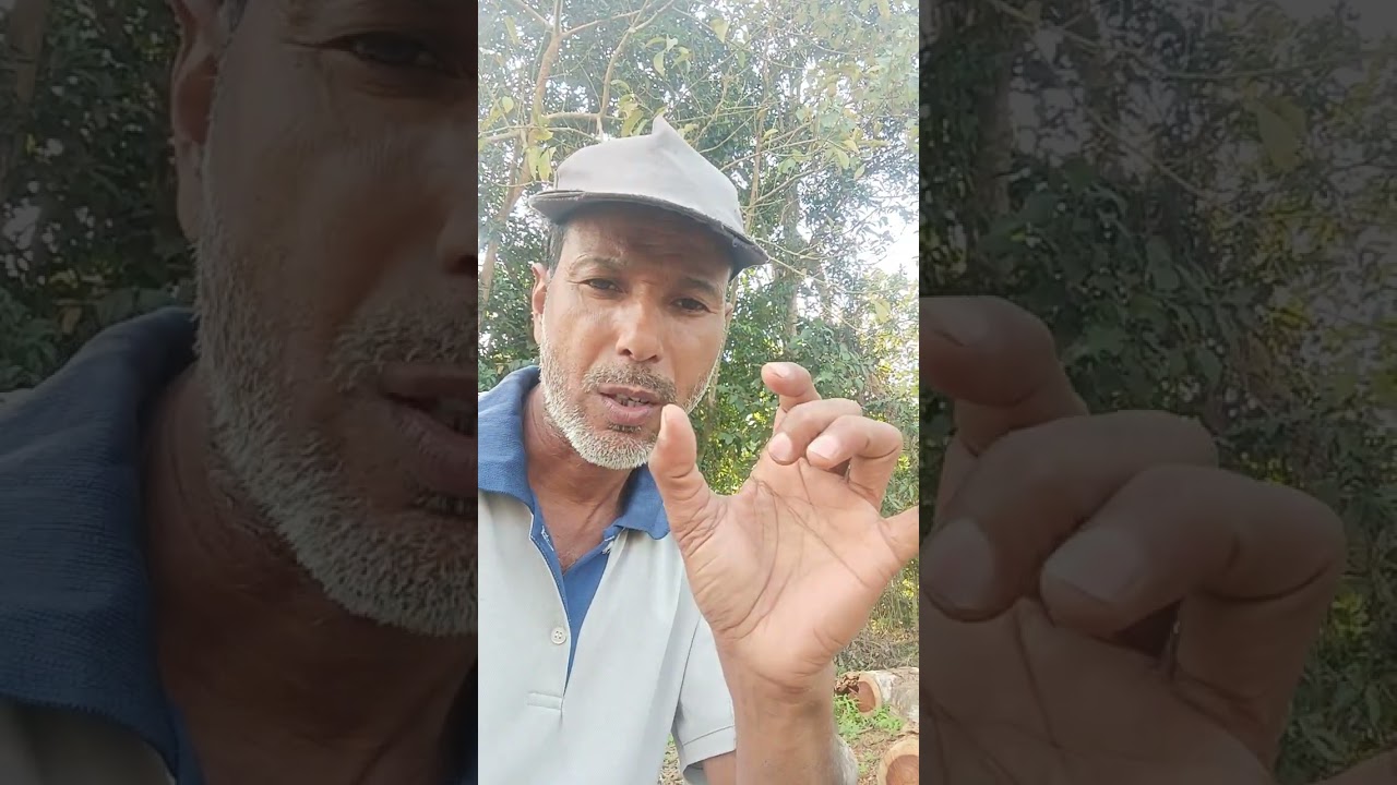 মেচটাইজিছ কেনেধৰনৰ আৰু কিয় হয় জানো আহক 