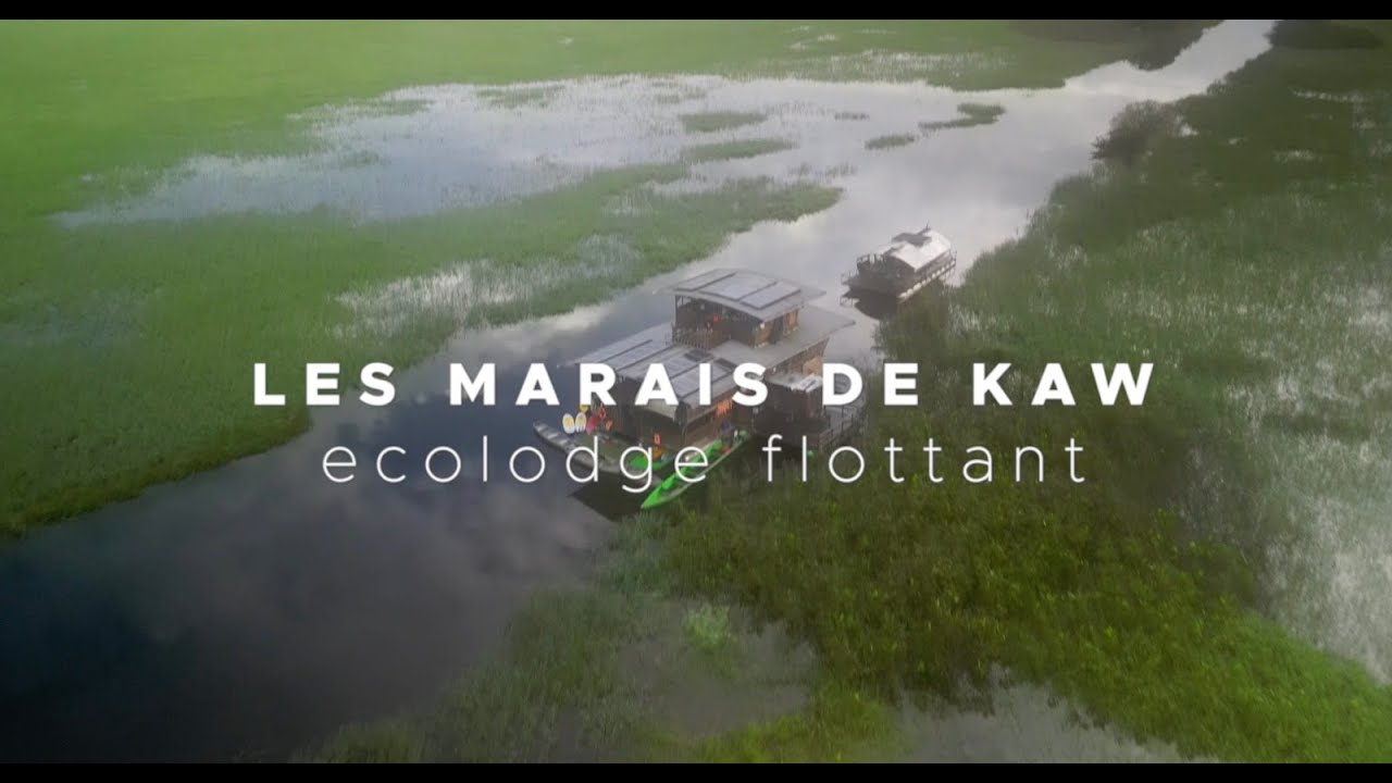 Marais de Kaw- Guyane