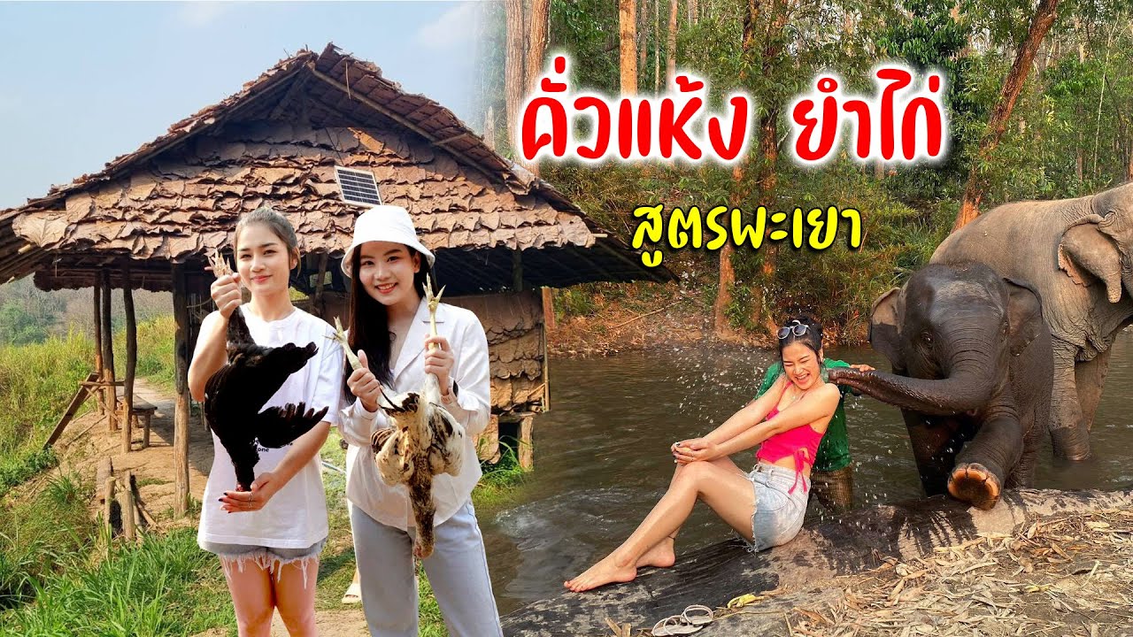 พาสาวไตยเที่ยวแม่วางจัดเมนูเด็ดคั่วแห้งไก่ยำไก่สูตรพะเยาเล่นน้ำกับช้างสุดสนุก #สวัสดีสงกรานต์ Ep.2