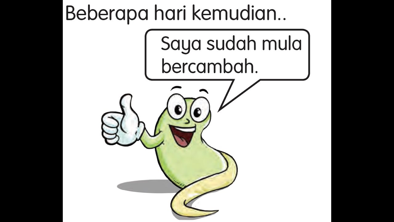 Sains Tahun 2 Keperluan Asas Biji Benih