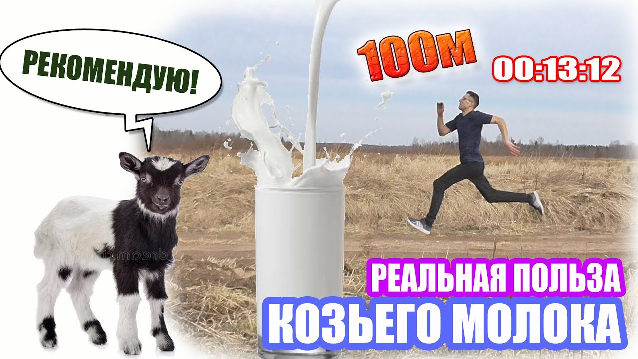 О практической пользе козьего молока (здоровое питание повышает иммунитет)