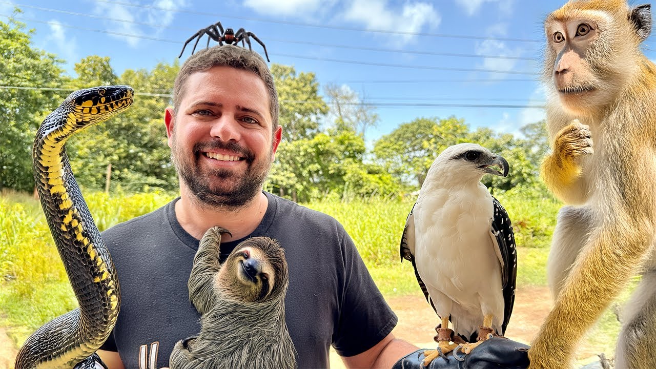 Wildlife Rehabilitation in Trinidad & Tobago - El Socorro Centre for Wildlife Conservation