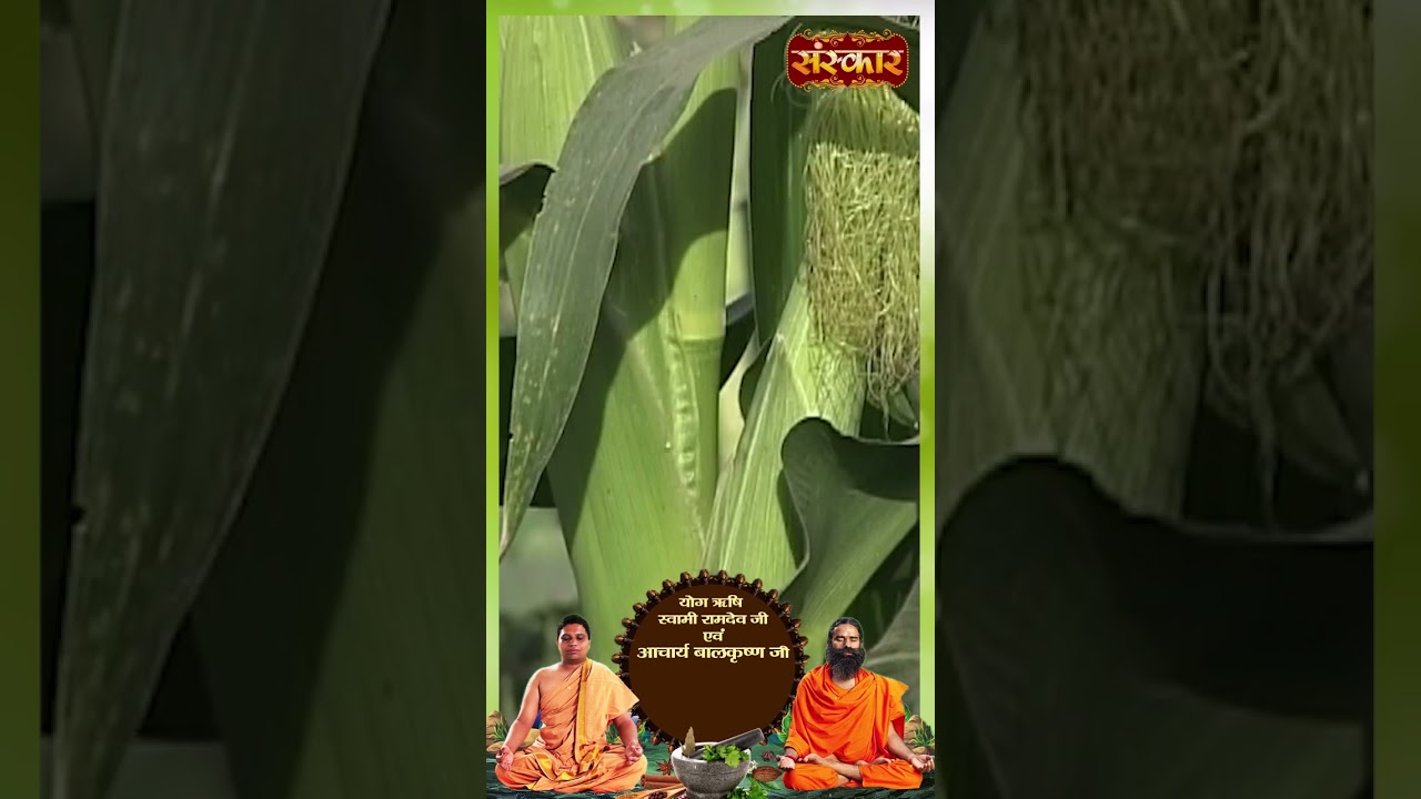 मूत्र संबंधी रोग में क्या करें | Acharya Balkrishna ji #sanskartv #shorts