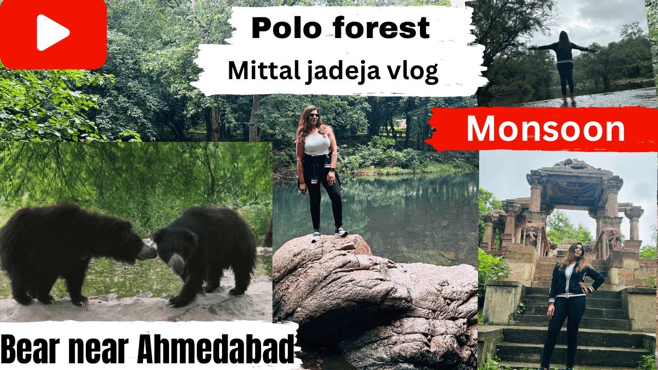 POLO FOREST IN MONSOON#Trekking in forest#gujarat #poloforest #All Information#onedaypicnic #travel