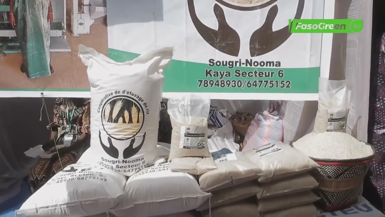 Etuvage du riz : La spécialité de la SCOOPS Sougri-Nooma