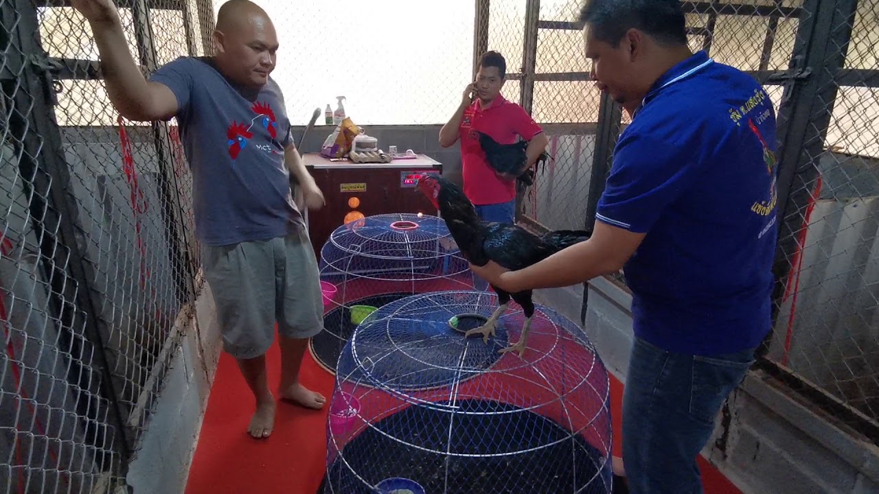 ชมซุ้มพิทักษ์​ภูทร​ วังสามหมอ​