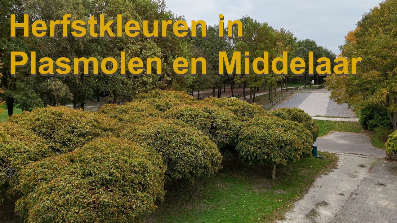 Herfstkleuren in Plasmolen en Middelaar.