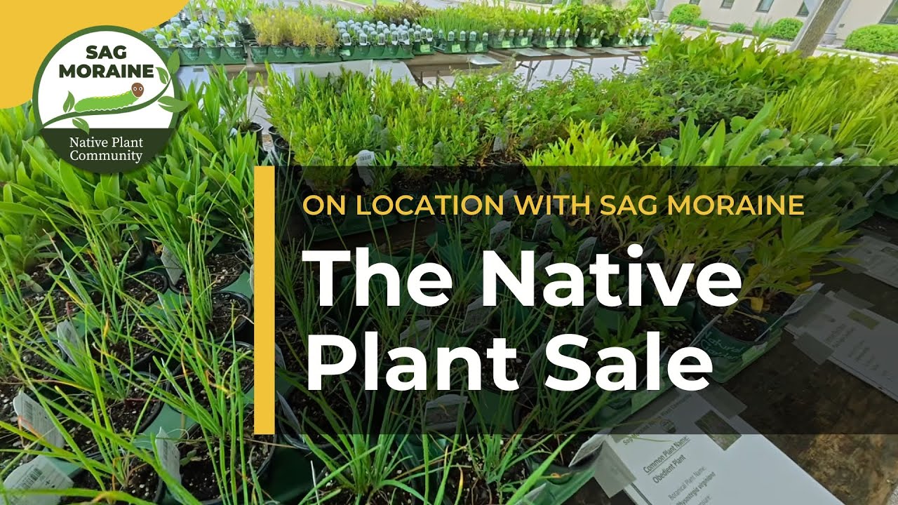 The Native Plant Sale